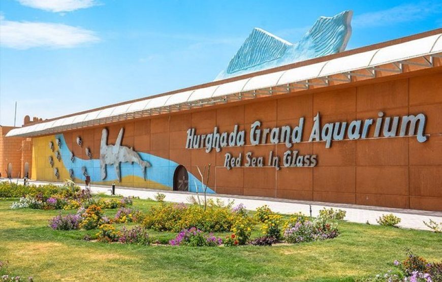 Hurghada Grand Aquarium Trip I best Booking Price Hurghada Aquarium