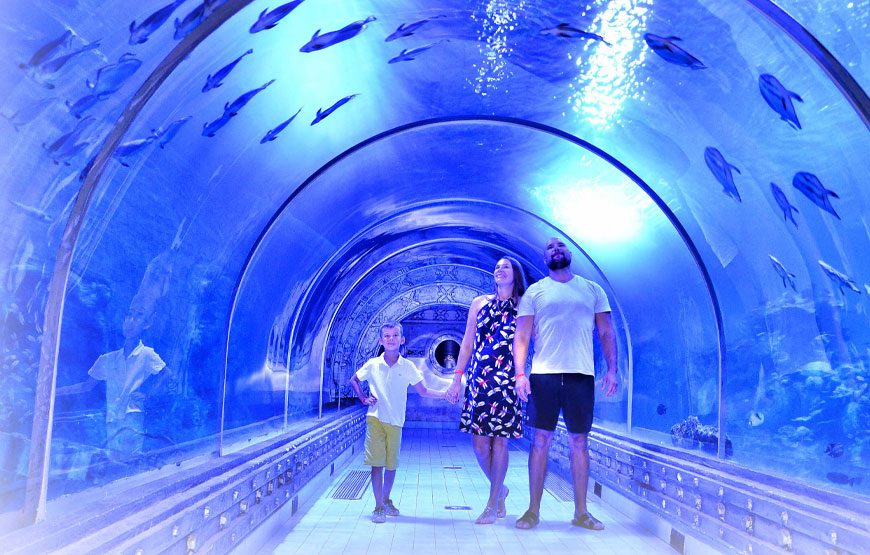 Hurghada Grand Aquarium Trip I best Booking Price Hurghada Aquarium
