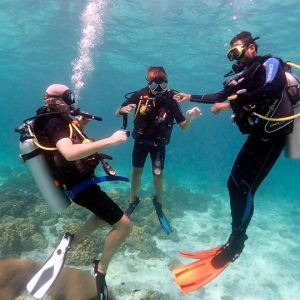 DIVING FROM Marsa Alam: Marsa Mubarak Snorkeling /the diving equipment