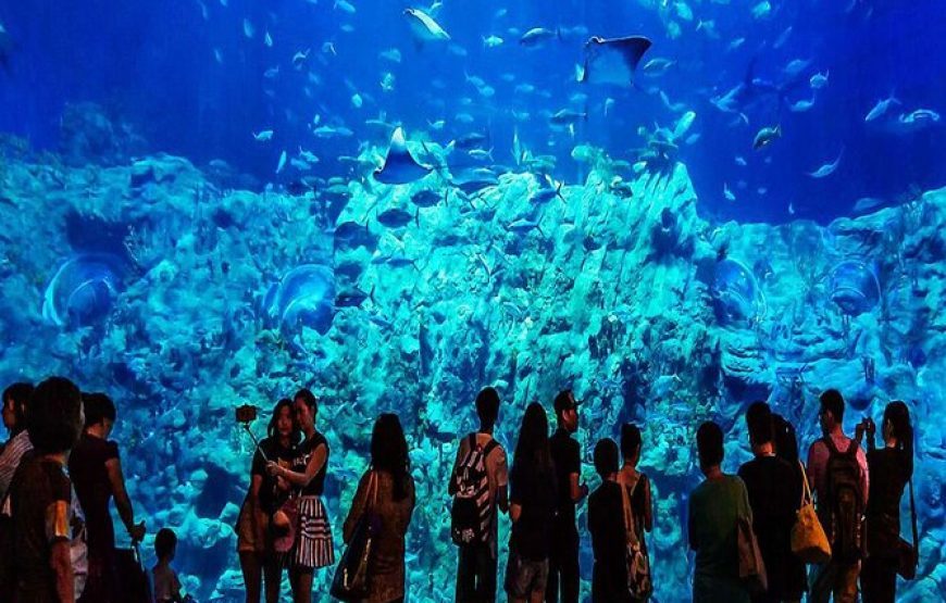 Akvárium Hurghada I hurghada aquarium