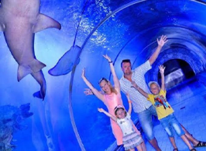 Excursion au Grand Aquarium d'Hurghada