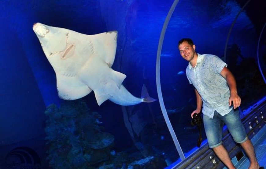 Hurghada Grand Aquarium – Excursion Au Grand Aquarium d’Hurghada