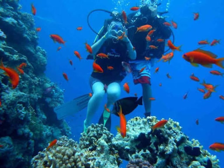Makadi Bay Ronjenje – Scuba Diving za Početnike i Sertifikovane Ronioce