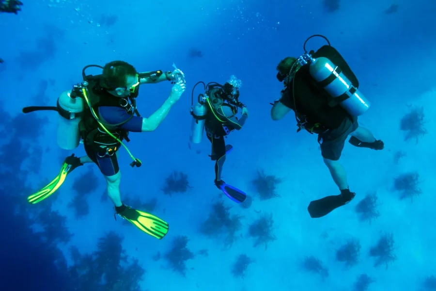 White Island & Ras Mohammed Mergulho em Sharm El Sheikh | Melhor Passeio de Mergulho no Mar Vermelho