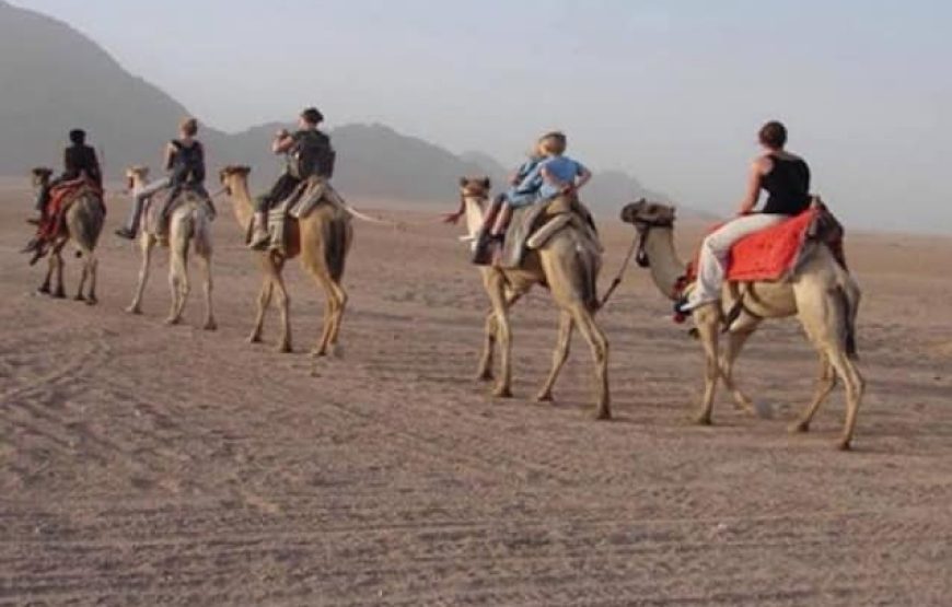 хургада экскурсии | Джип-сафари в Хургаде | Квадроцикл Mega ATV в сафари по пустыне Хургады, Египет