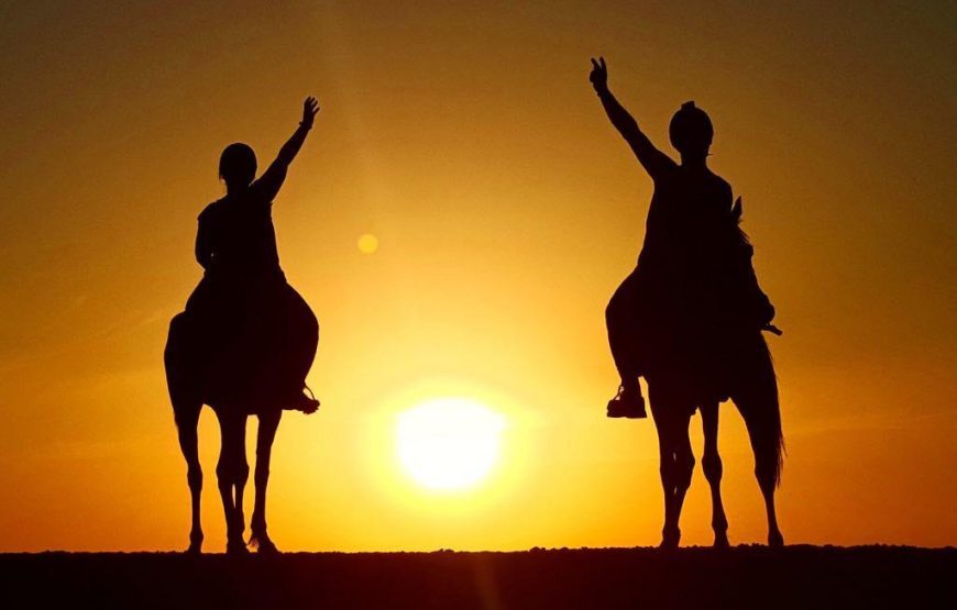 прогулки на лошадях в Хургаде —  Конная прогулка по Хургаде 2 часа (пустыня и пляж)
