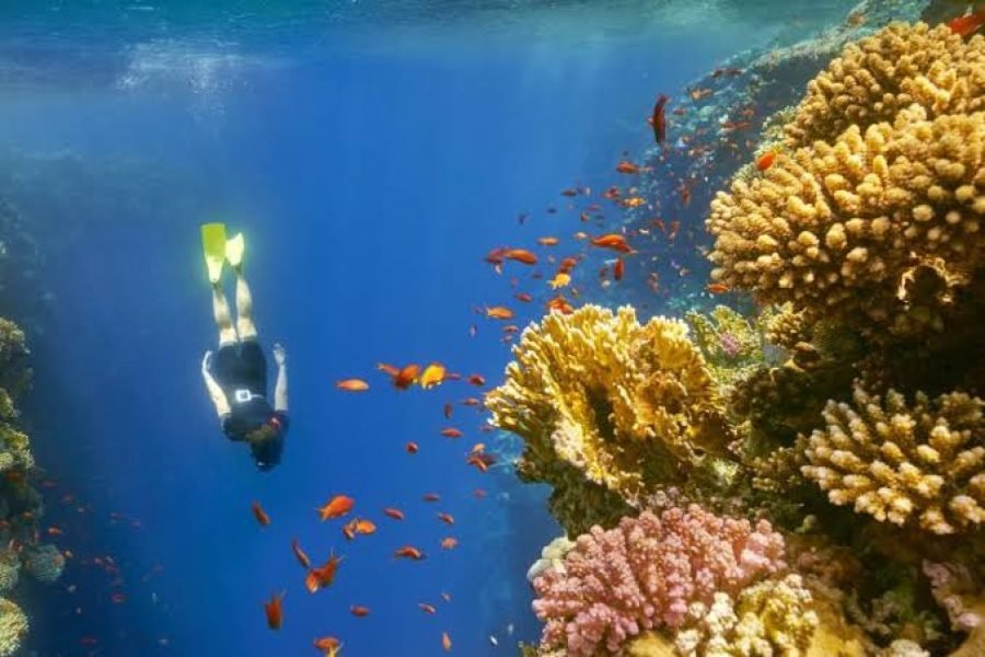 Sharm El Naga Hurghadából