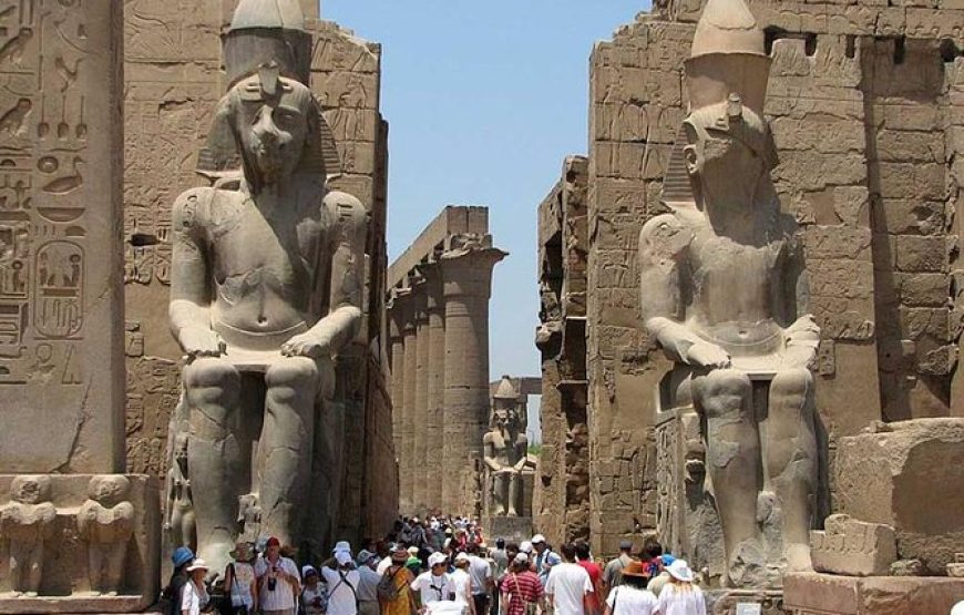 Day trip luxor from hurghada – Luxor Airport Individual Bus -Cheap Prices cairo hurghada transfer
