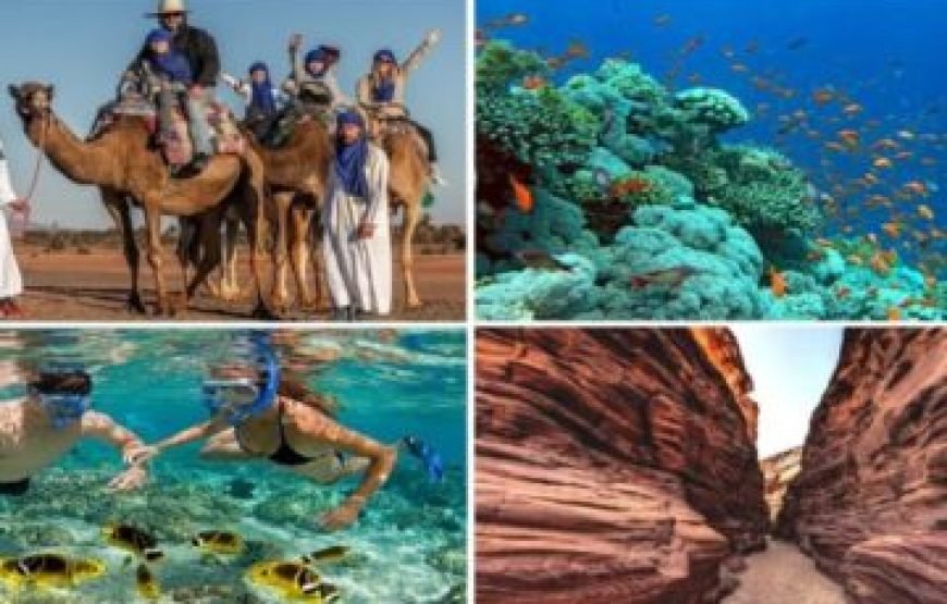 Sharm El Sheikh Excursions – Mix Safari, Desert & Sea 5-in-1 Adventure from Sharm El Sheikh