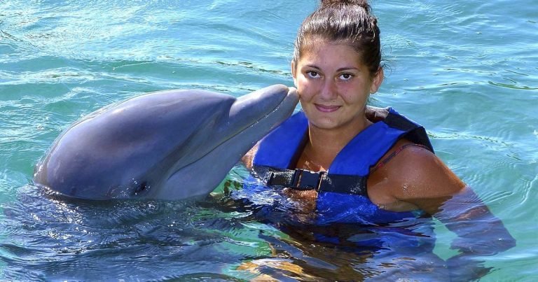 Plivanje sa delfinima Makadi Bay | Privatno plivanje i šou