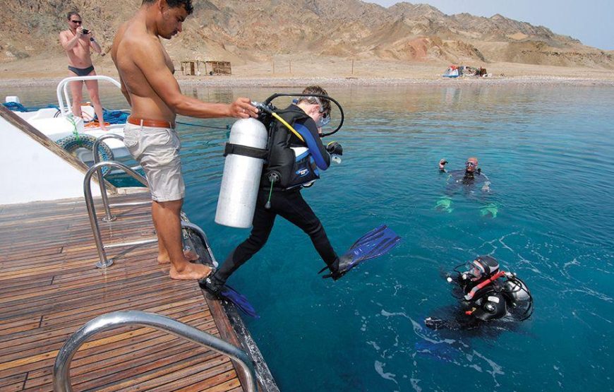 Diving At tiran island sharm el sheikh- tiran island trip- Booking Cheap tours in sharm el sheikh Egypt