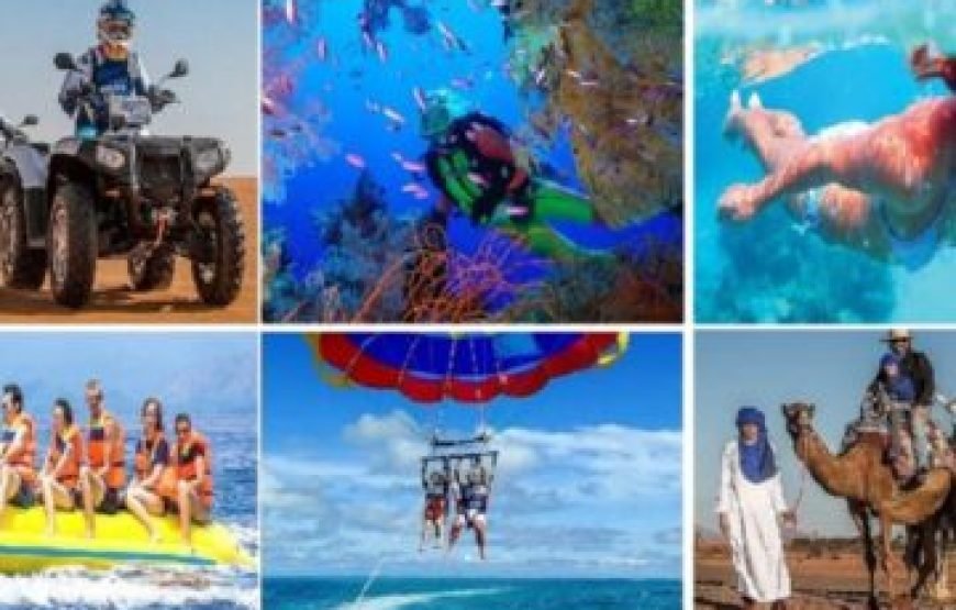 Sharm El Sheikh Excursions – Mix Safari, Desert & Sea 5-in-1 Adventure from Sharm El Sheikh