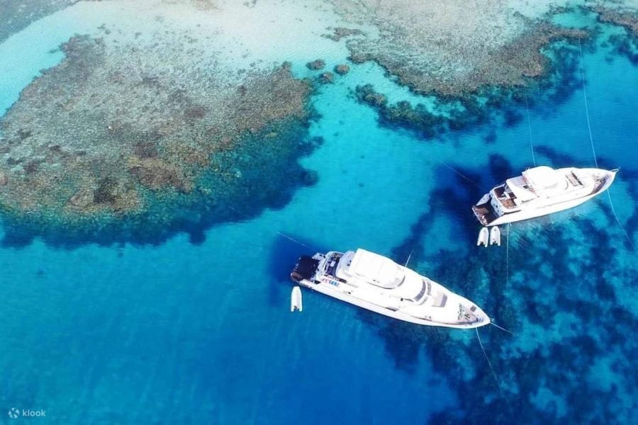 White Island e Ras Mohammed Sharm El Sheikh