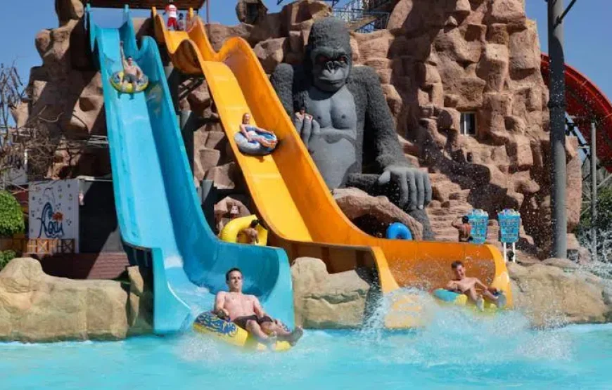 Sharm El Sheikh wycieczki fakultatywne Ceny 2026