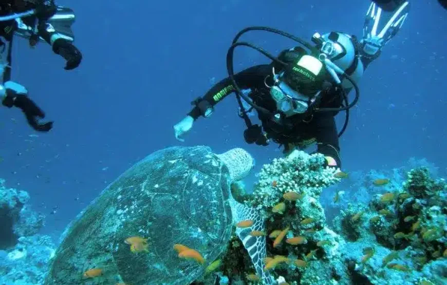 Sharm El Sheikh wycieczki fakultatywne Ceny 2026