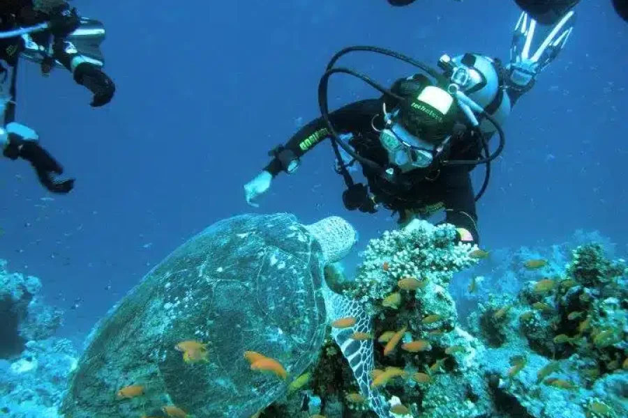 Excursion de Makadi Bay au Caire