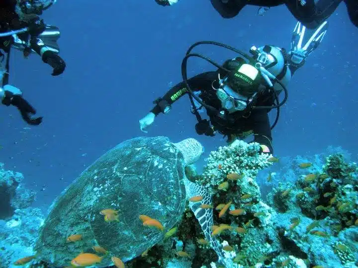 Tauchausflug von Sharm el Sheikh