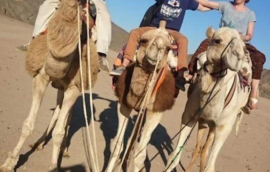 Safari privé en quad et balade à dos de chameau au départ de Charm el-Cheikh