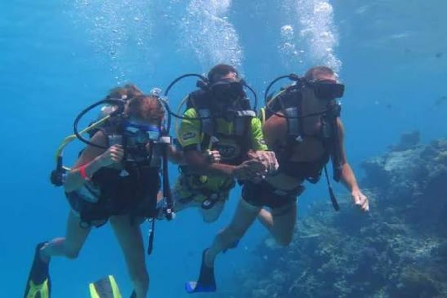 Tiran Island Duikexcursie vanuit Sharm El Sheikh | Boottocht & Lunch