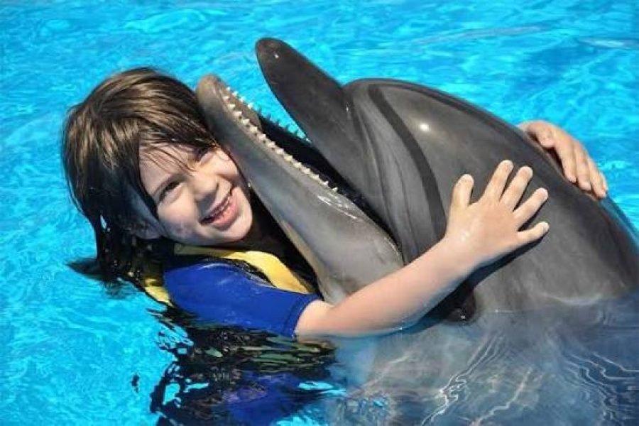 Zwemmen met Dolfijnen in Sharm El Sheikh – 15 Minuten Ervaring