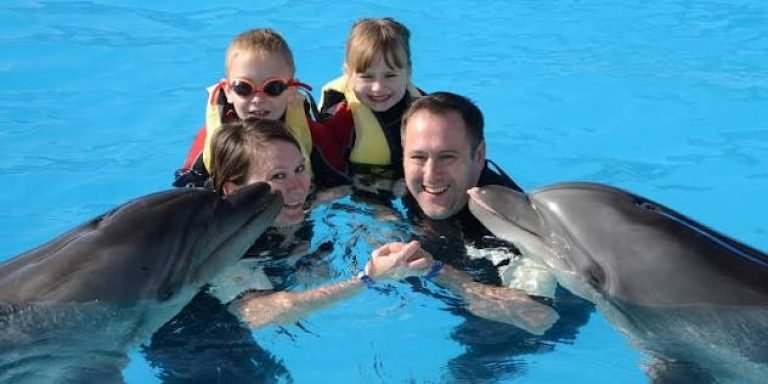 Delfinschwimmen Hurghada – Schwimmen Sie mit Delfinen