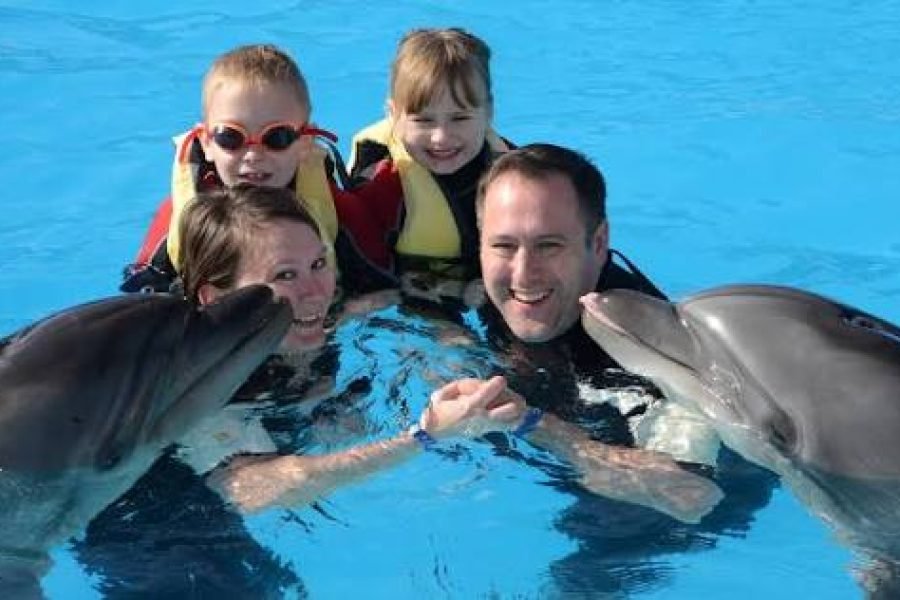 Úszás delfinekkel Sharm El Sheikhben