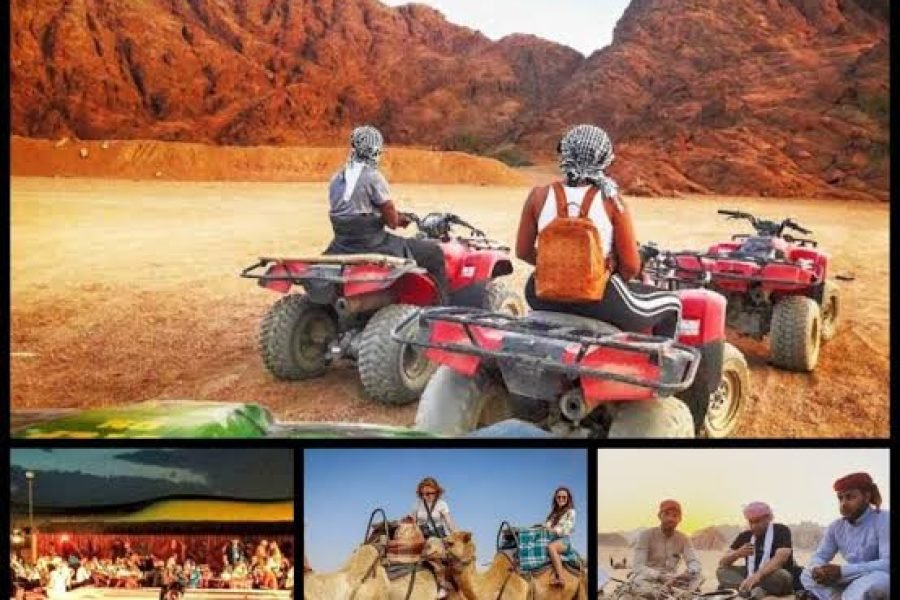 Super Safari Šarm el Šeik – Kamile i Beduinska Večera