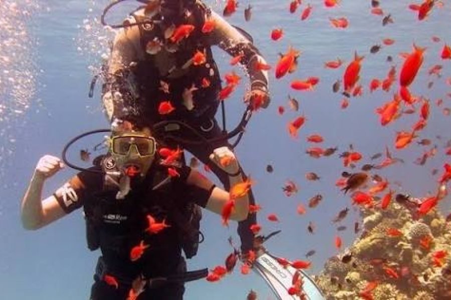 Sharm El Sheikh Duikexcursie
