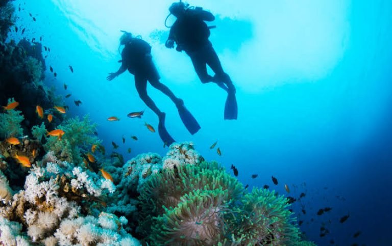 Makadi Bay Duiken – Scuba Diving voor Beginners & Ervaren Duikers