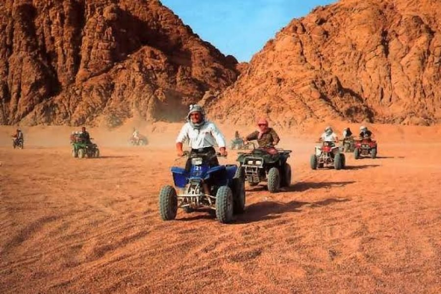 Privát Quad és Teve Szafari Sharm El Sheikhben