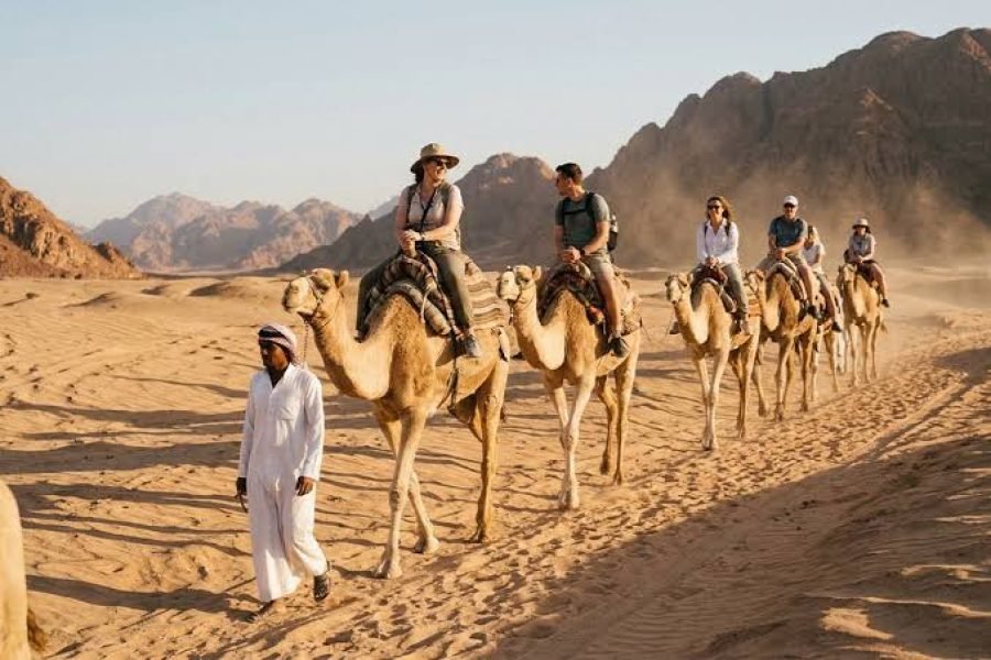 Camel Ride & Bedoeïenendiner Sharm El Sheikh