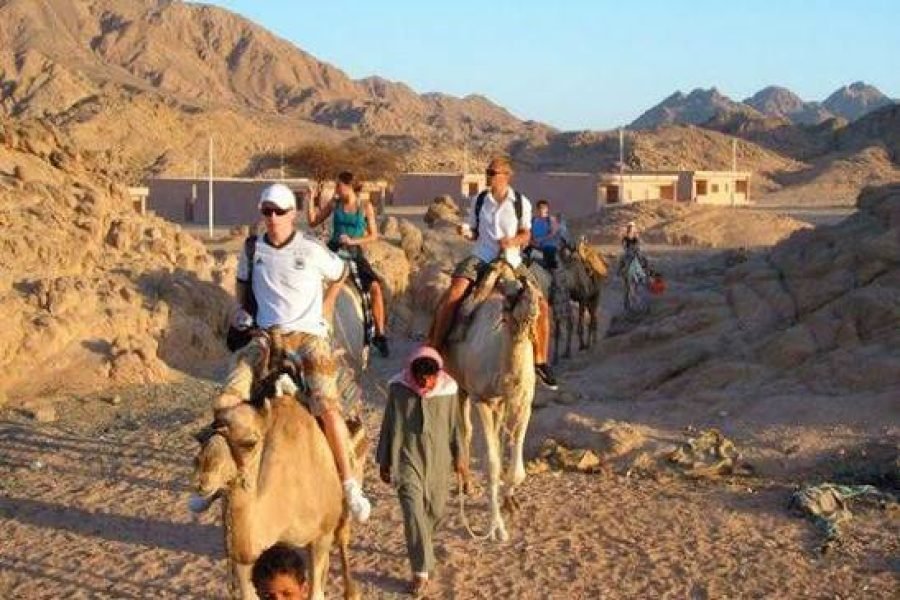 Сафарі в Шарм-ель-Шейху з верблюдом і бедуїнською вечерею