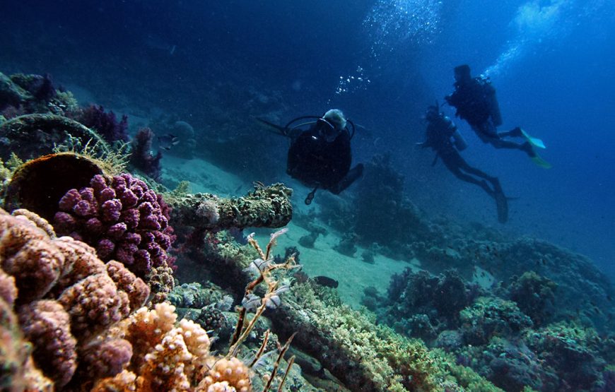diving center sharm el sheikh –  Shore Diving in Sharm el sheikh