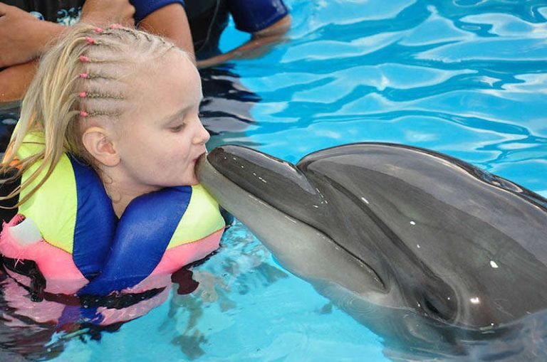 Sharm El Sheikh Dolphina Park | Yunuslarla Yüzme & Dolphin Show Deneyimi