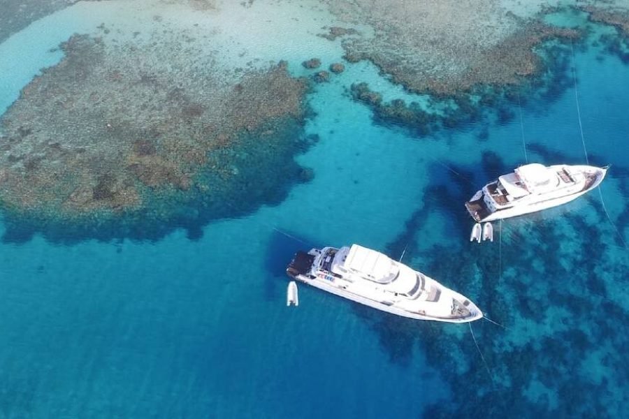 Snorkeling na Ilha Tiran saindo de Sharm El Sheikh