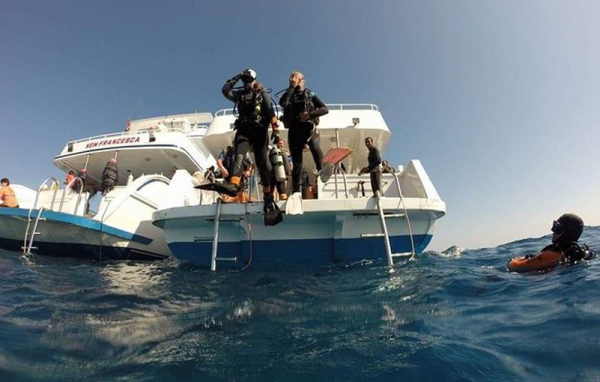 Hurghada Diving Prices tours 25$
