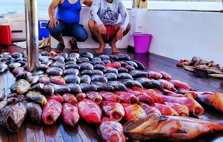 Angeln Hurghada Ägypten  – Mögliche Aktivitäten in Hurghada – Fische Rotes Meer
