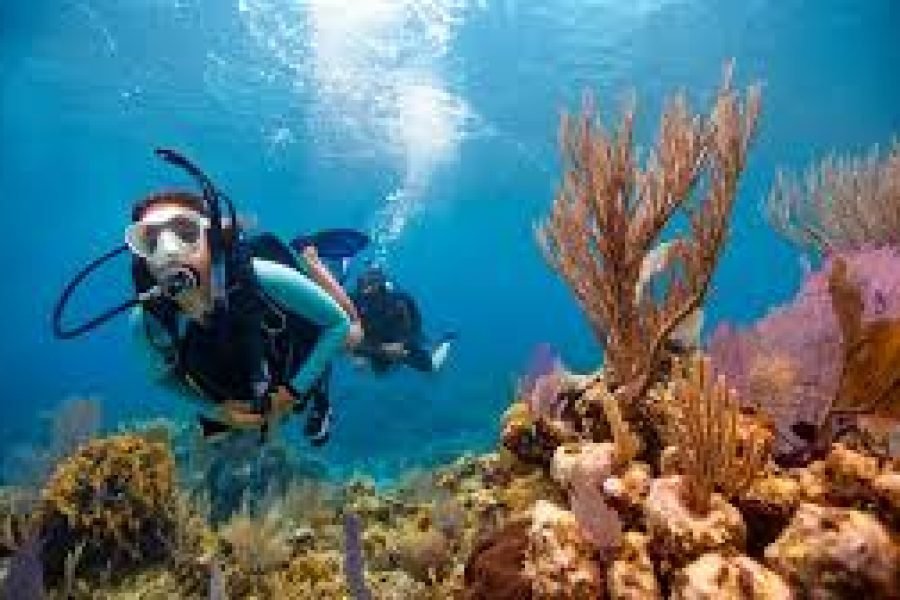 Escursione Immersioni Isola di Tiran Sharm El Sheikh 2026 | Miglior Diving Tour Egitto