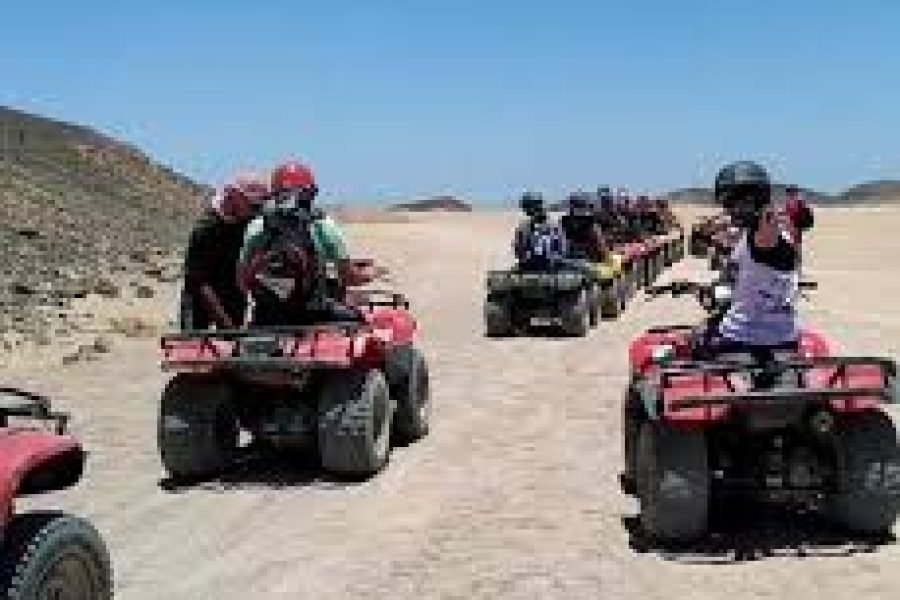 🏜️ Çölde Quad Macerası – Kendi quad aracınızı kullanarak Marsa Alam’ın büyüleyici çölünde sürüş yapın ve etkileyici dağ manzaralarının tadını çıkarın. 🐪 Bedevi Köyü Ziyareti – Yerel Bedevi kabileleriyle tanışın, geleneksel Bedevi çayını deneyin ve onların köklü gelenekleri ile çöl yaşamını yakından keşfedin. 🌅 Deve Gezisi ve Gün Batımı Manzaraları – Deve üzerinde huzurlu bir yolculuk yaparken çölün sakin atmosferini hissedin ve güneşin kum tepelerinin ardında kayboluşunu izleyin. 🍢 BBQ Akşam Yemeği ve Folklor Gösterisi – Zengin açık büfe akşam yemeğinin tadını çıkarın; geleneksel Bedevi müziği ve dans gösterileriyle unutulmaz bir akşam yaşayın. 🌌 Yıldızların Altında Bir Gece – Akşamı, parıldayan çöl gökyüzünün altında sonlandırın ve ömür boyu hatırlayacağınız eşsiz anılar biriktirin.
