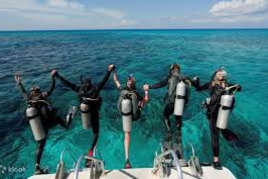 Дайвинг на остров Тиран Шарм-эль-Шейх 2026 | Лучший Diving Tour в Египте