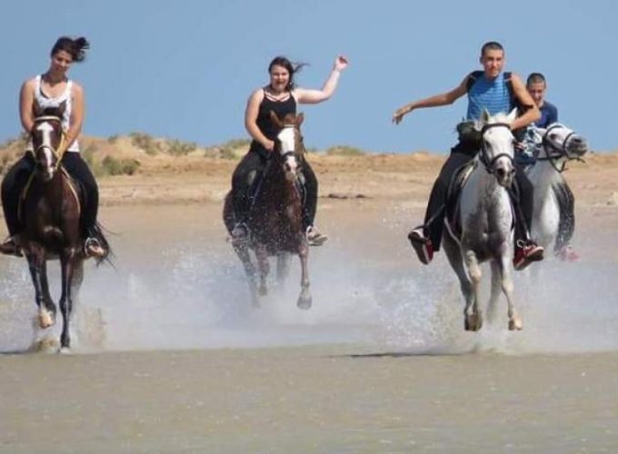 Excursiones en hurghada- Excursiones a caballo en Hurghada | Experiencia privada Equitación Hurghada | Lado de caballo