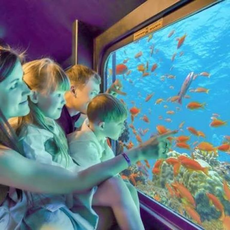 Royal Sea Scope Marsa Alam | Passeio de Semissubmarino no Mar Vermelho