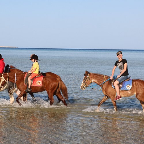 Jízda na koni v Hurghadě – Poušť a plážové dobrodružství na arabských koních
