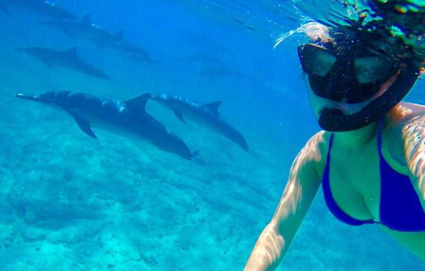 Hurghada French tour – Nager avec les dauphins hurghada et sports nautiques -voyage hurghada pas cher – Vacances en Egypte