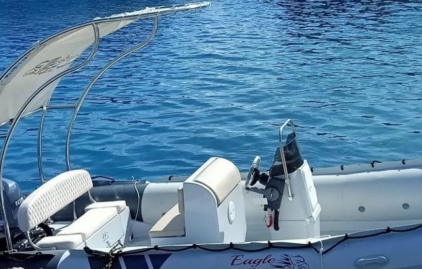 Marea Rosie Egipt – Snorkeling cu delfinii cu o barcă cu viteză privată -EXCURSIE DE SNORKELING LA CASA DELFINILOR DIN HURGHADA