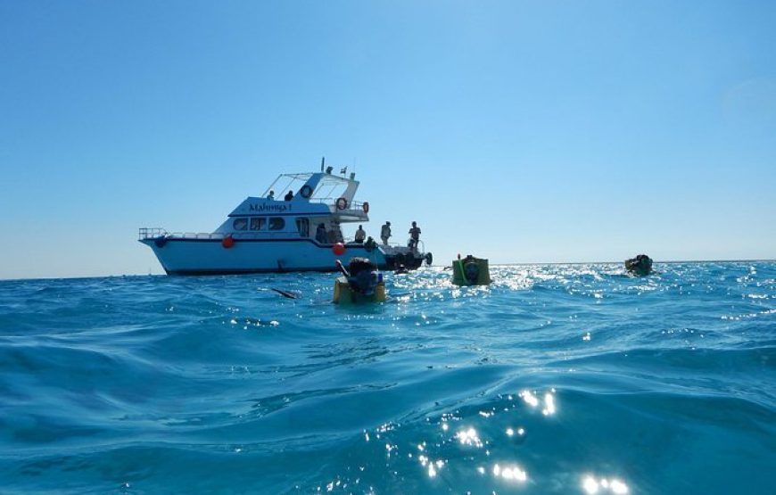 Plongée Hurghada ,l’île de mahmya –  Excursion d’une journée complète de plongée mer rouge en apnée sur l’île de Mahmya depuis  Hurghada