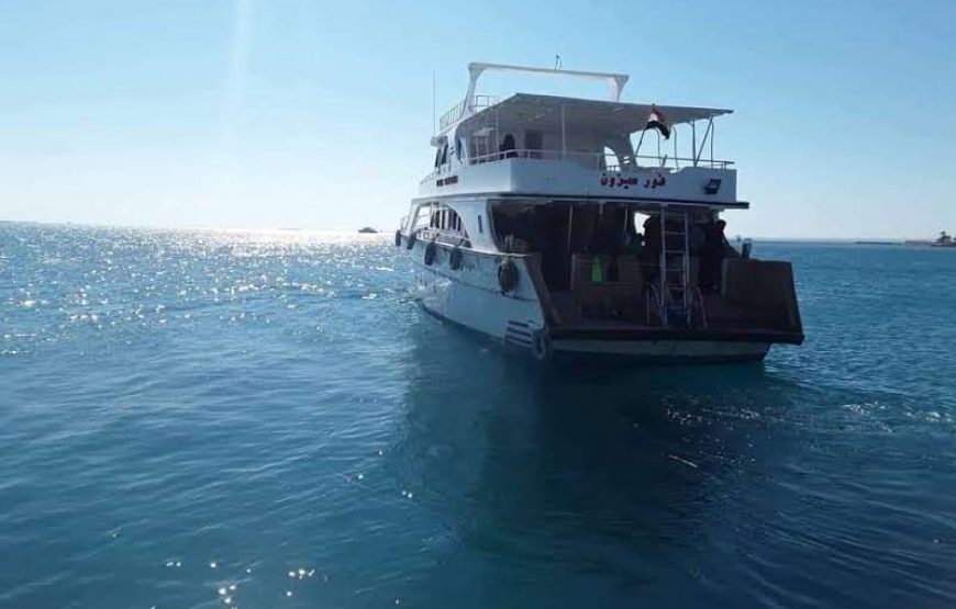 excursion hurghada – L’île de l’utopie depuis Hurghada _ Snorkeling Tours à Hurghada Avec déjeuner de fruits de mer