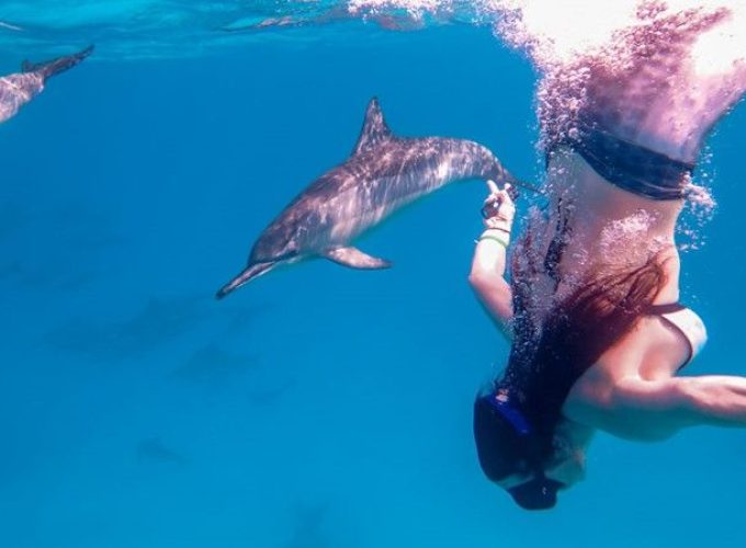 Hurghada wycieczki fakultatywne Morze Czerwone – Dom Delfinów z Hurghady