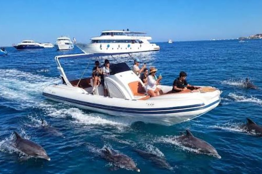 Dolphin House Hurghada | Lancha Privativa e Snorkeling com Golfinhos