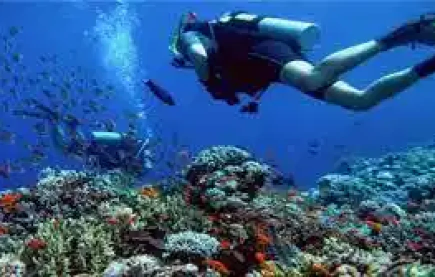 Hamata Island Marsa Alam & Qulaan Islands